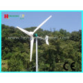 2000W horizontal-axis Wind turbine (maintenance-free)